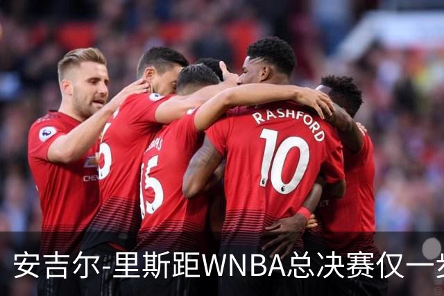 安吉尔-里斯距WNBA总决赛仅一步之遥，纽约自由人面临严峻考验